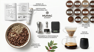 MUMAC Academy Chile: El Destino Definitivo para la Excelencia Barista - Europa Secreta - Tienda Gourmet