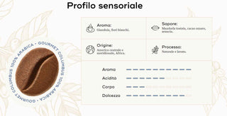 Café En Grano Gourmet Columbus 1 Kg - Europa Secreta - Tienda Gourmet