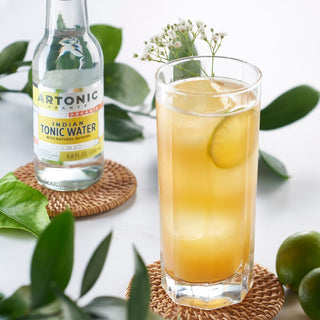 Artonic Indian Organic Tonic Water 200 ml - Europa Secreta - Tienda Gourmet